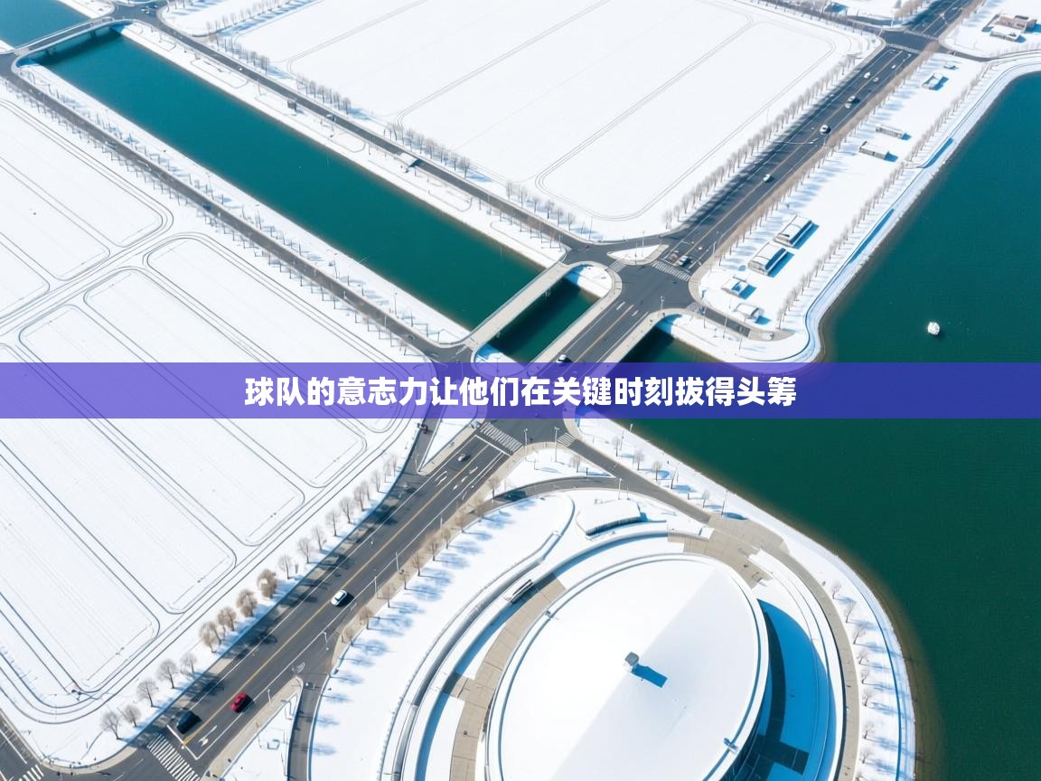 球队的意志力让他们在关键时刻拔得头筹  第2张