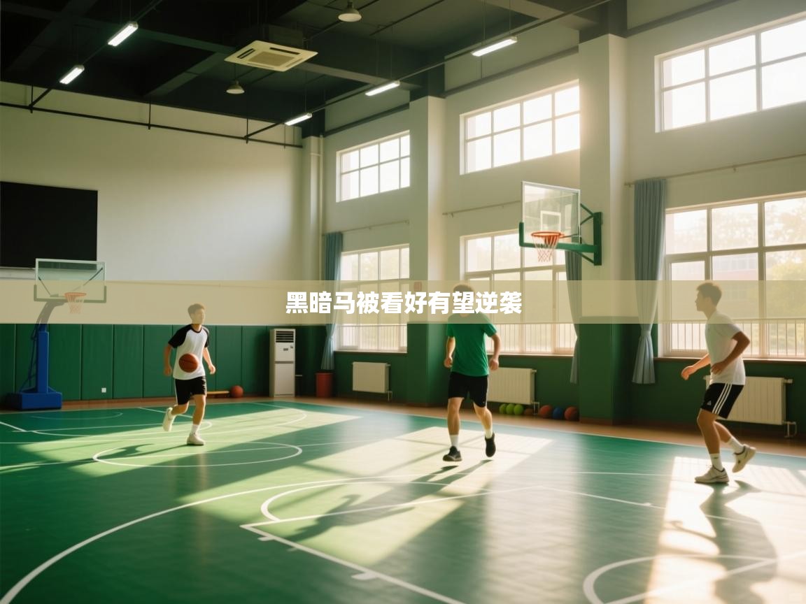 黑暗马被看好有望逆袭  第1张