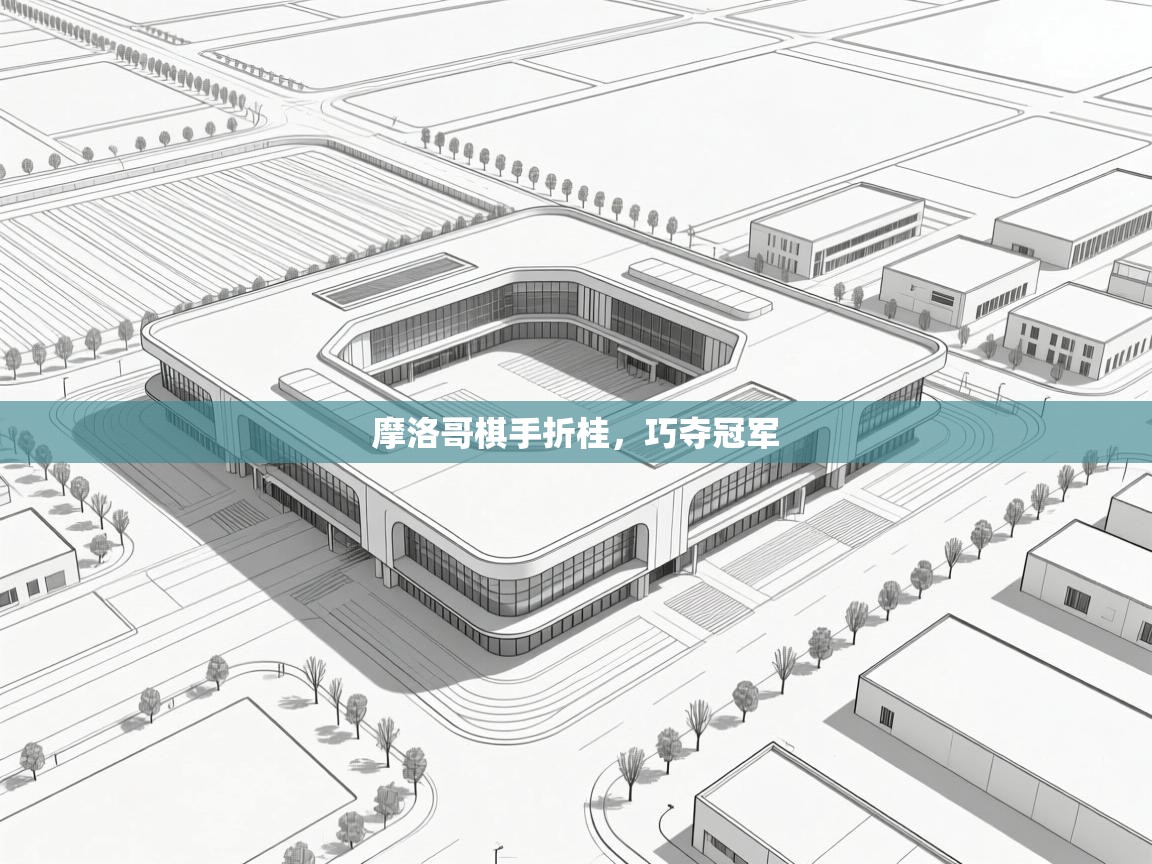 摩洛哥棋手折桂,巧夺冠军 第1张