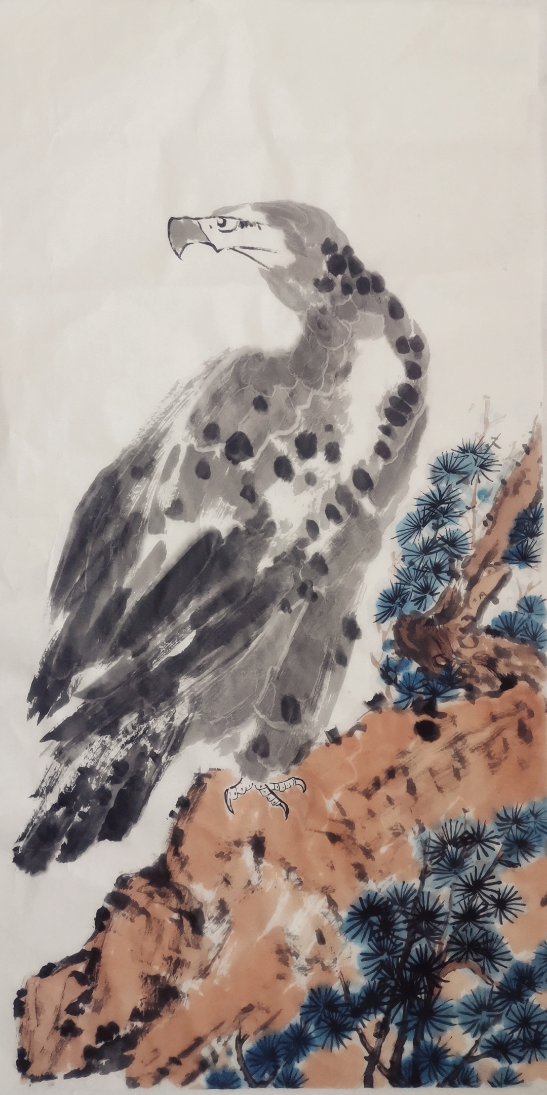 米乐m6平台-老鹰表现抢眼，领先优势不容忽视！的简单介绍